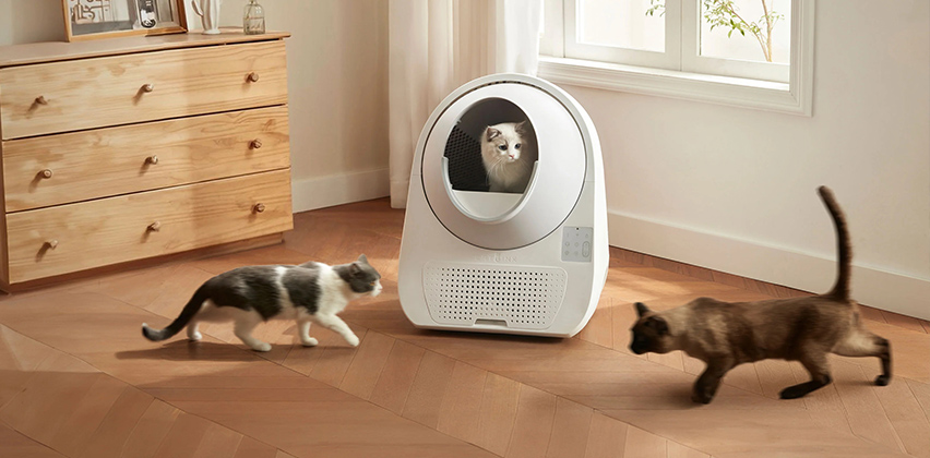 catlinkus